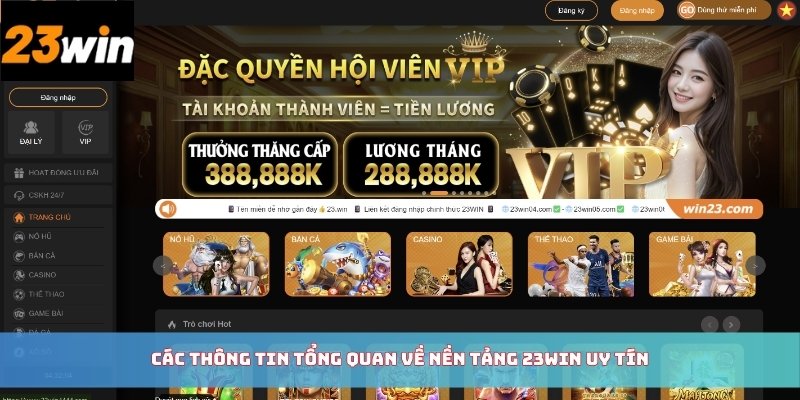 Các thông tin tổng quan về nền tảng 23WIN uy tín
