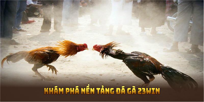 Khám phá nền tảng đá gà 23WIN và các thông tin chính thức